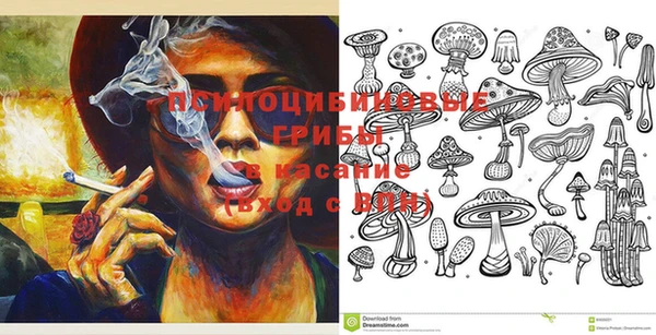 шишки Алзамай