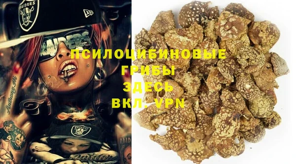 шишки Алзамай