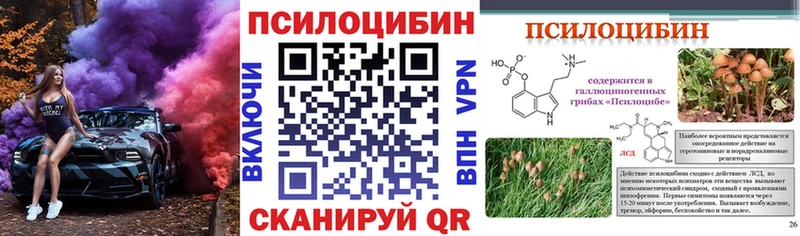 Псилоцибиновые грибы Psilocybine cubensis  купить   Кемь 